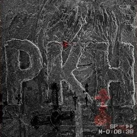 Слава Кпсс — Ркн (Feat. Pyrokinesis) — обложка